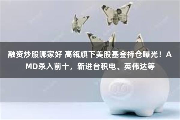 融资炒股哪家好 高瓴旗下美股基金持仓曝光！AMD杀入前十，新进台积电、英伟达等