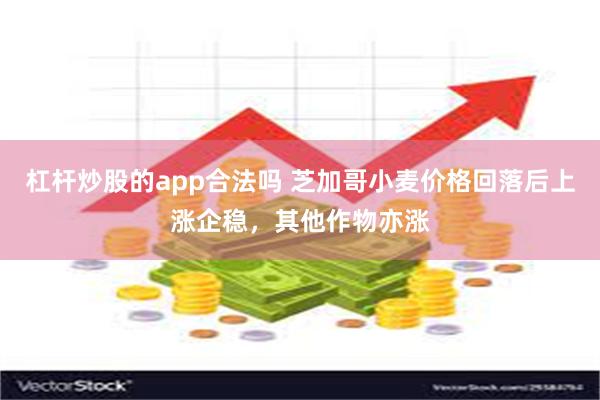 杠杆炒股的app合法吗 芝加哥小麦价格回落后上涨企稳，其他作物亦涨