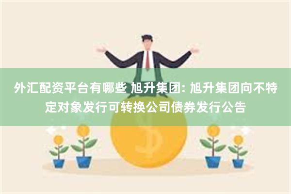 外汇配资平台有哪些 旭升集团: 旭升集团向不特定对象发行可转换公司债券发行公告