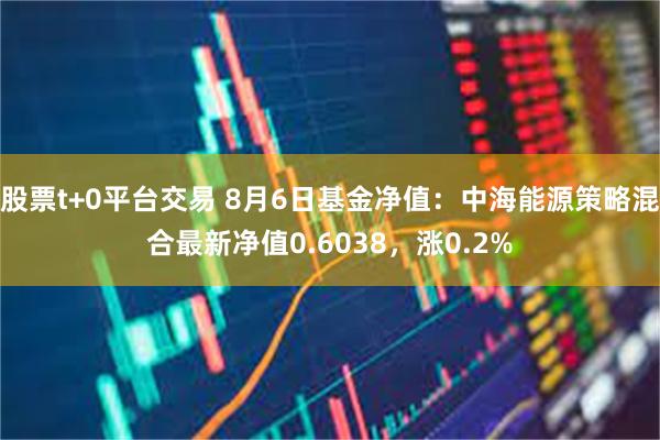 股票t+0平台交易 8月6日基金净值：中海能源策略混合最新净值0.6038，涨0.2%