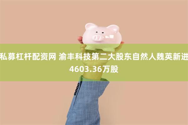 私募杠杆配资网 渝丰科技第二大股东自然人魏英新进4603.36万股