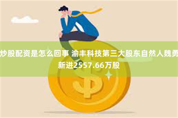 炒股配资是怎么回事 渝丰科技第三大股东自然人魏勇新进2557.66万股