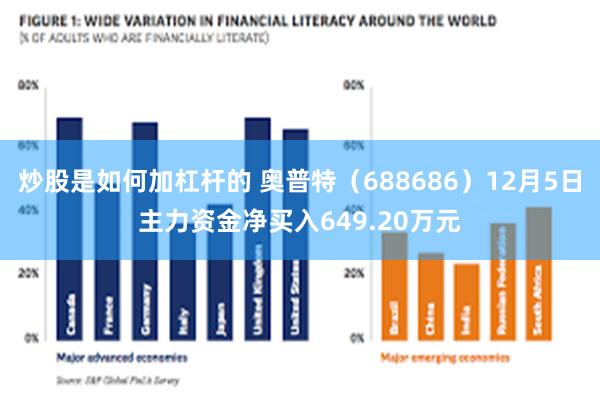 炒股是如何加杠杆的 奥普特（688686）12月5日主力资金净买入649.20万元