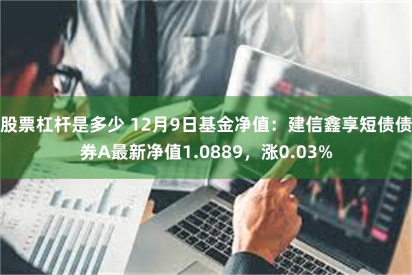 股票杠杆是多少 12月9日基金净值：建信鑫享短债债券A最新净值1.0889，涨0.03%