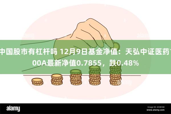 中国股市有杠杆吗 12月9日基金净值：天弘中证医药100A最新净值0.7855，跌0.48%